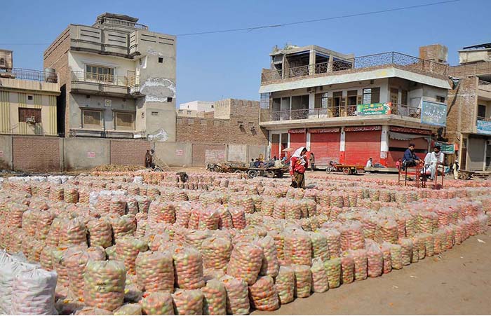 Vendor displaying tomato bags for bidding at Vegetable Market.