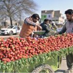 A vendor selling seasonal fruit on his cart at DPO Chowk.