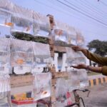 A vendor selling fishes at club road.