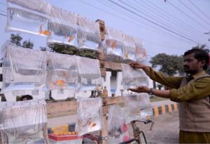 A vendor selling fishes at club road.