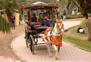 Family enjoy baghi ride at Jalali Park. 