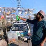 A vendor displaying colorful fishes to attract the customers along the roadside in the Federal Capital