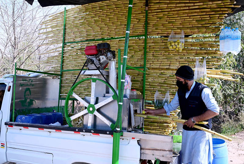 A vendor extracting sugarcane juice at his roadside setup in Federal Capital