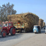 Tractor trolleys loaded with sugarcane parked on the roadside creating problems in the smooth flow of traffic and need the attention of concerned authorities near Seyd Walla Chowk.