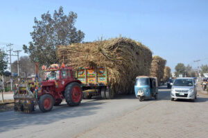 Tractor trolleys loaded with sugarcane parked on the roadside creating problems in the smooth flow of traffic and need the attention of concerned authorities near Seyd Walla Chowk. 