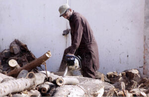 Labourer is busy cutting wood into pieces with the help of a cutter at his workplace