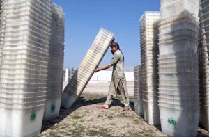  Workers of the Election Commission Office sorting ballot boxes to be sent to polling stations for the upcoming General Elections-2024 at Qayyum Sports Complex.