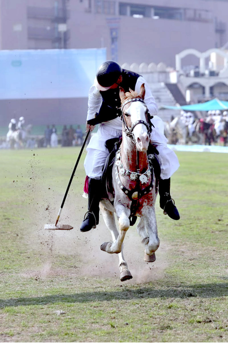 A tent pegger successfully gets the peg at the Chief Minister Tent Pegging Championship 2024 organized by PHA