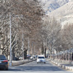 An attractive view of leafless tree's on the river view road area near CM Secretariat.