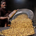 A worker busy in roasting grams for customers at his workplace