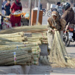 A woman displays brooms to attract customers at her roadside setup