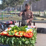 A vendor watering vegetable salad to keep them fresh to attract customers