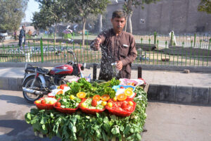 A vendor watering vegetable salad to keep them fresh to attract customers