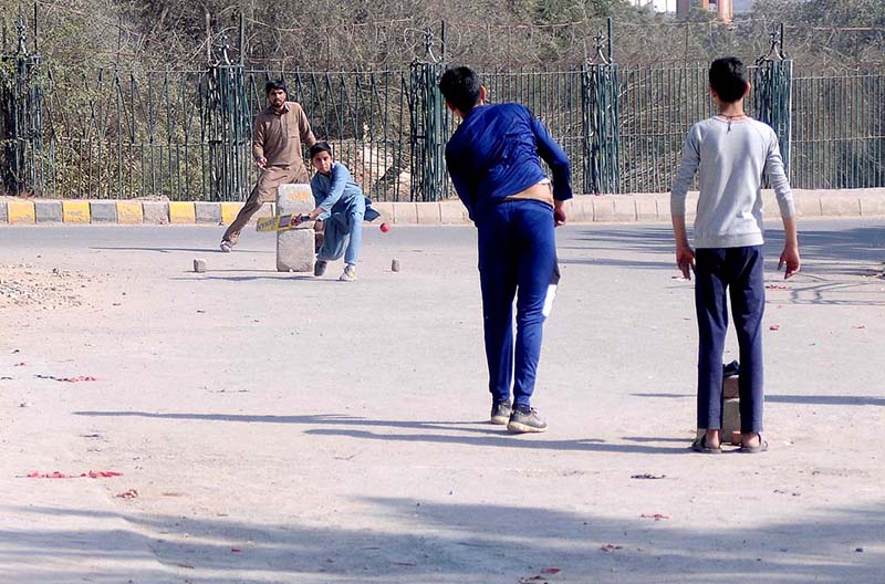 Children playing cricket at roadside
