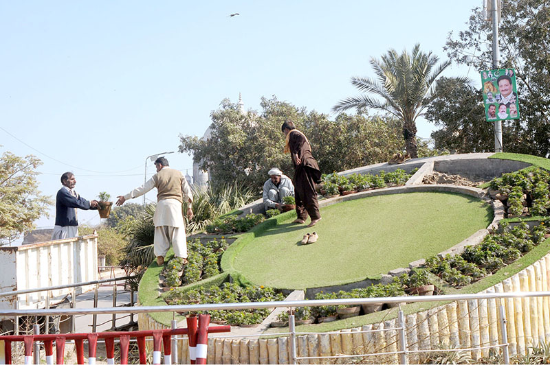 PHA staffers busy in sapling plants at Qasim Bagh