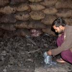 A vendor selling coal sacks as per increased demand in winter season