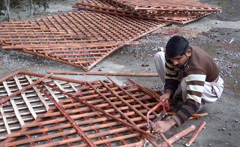 Worker busy in preparing bamboo fence at his workplace