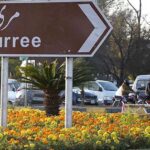 An attractive view of seasonal flowers blooming along the roadside in the federal capital.