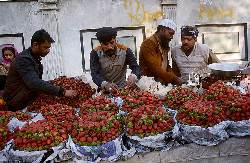 Vendors arranging and displaying strawberry to attract the customers