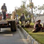 PHA workers busy sapling mini plants on Green belt near at Jail Road