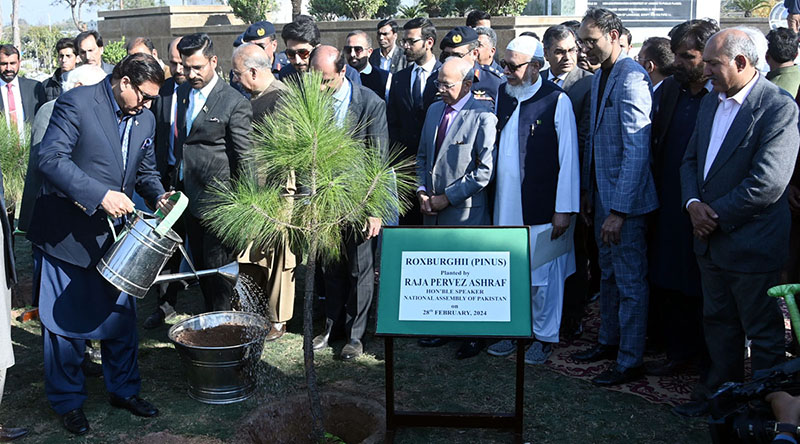 Speaker National Assembly Raja Pervez Ashraf planting a sapling of Roxburghii (Pinus) at inauguration ceremony of Yadgar-e-Dastoor and Bagh-e-Dastoor infront of Parliament House