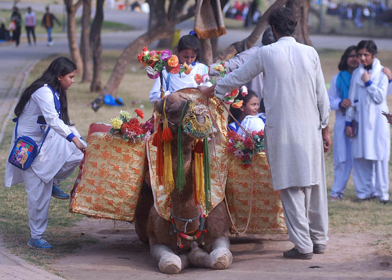 Students are enjoying camel ride at Jilani Park