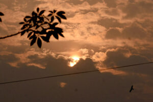 The beautiful view of the Sun behind the clouds in the evening time in the city
