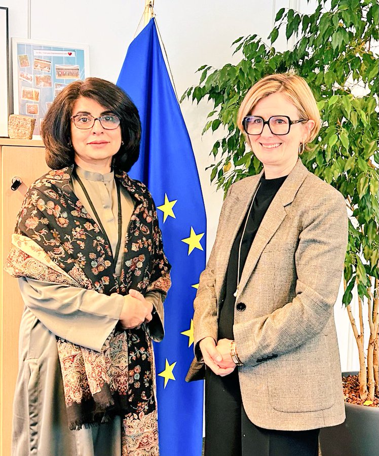 Pakistan envoy in Brussels meets DG EU