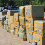 Non-custom paid items