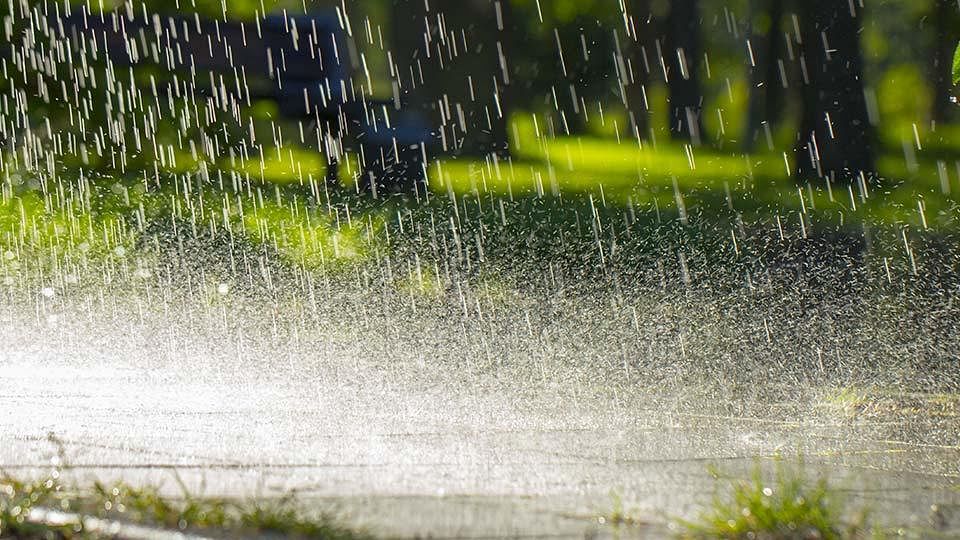 Bahawalpur receives rain