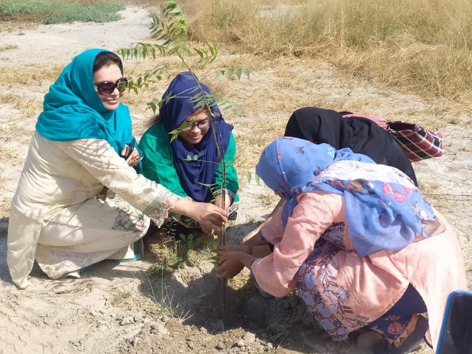 Tree Plantation drive to kick off on Monday