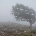 Thundershower,