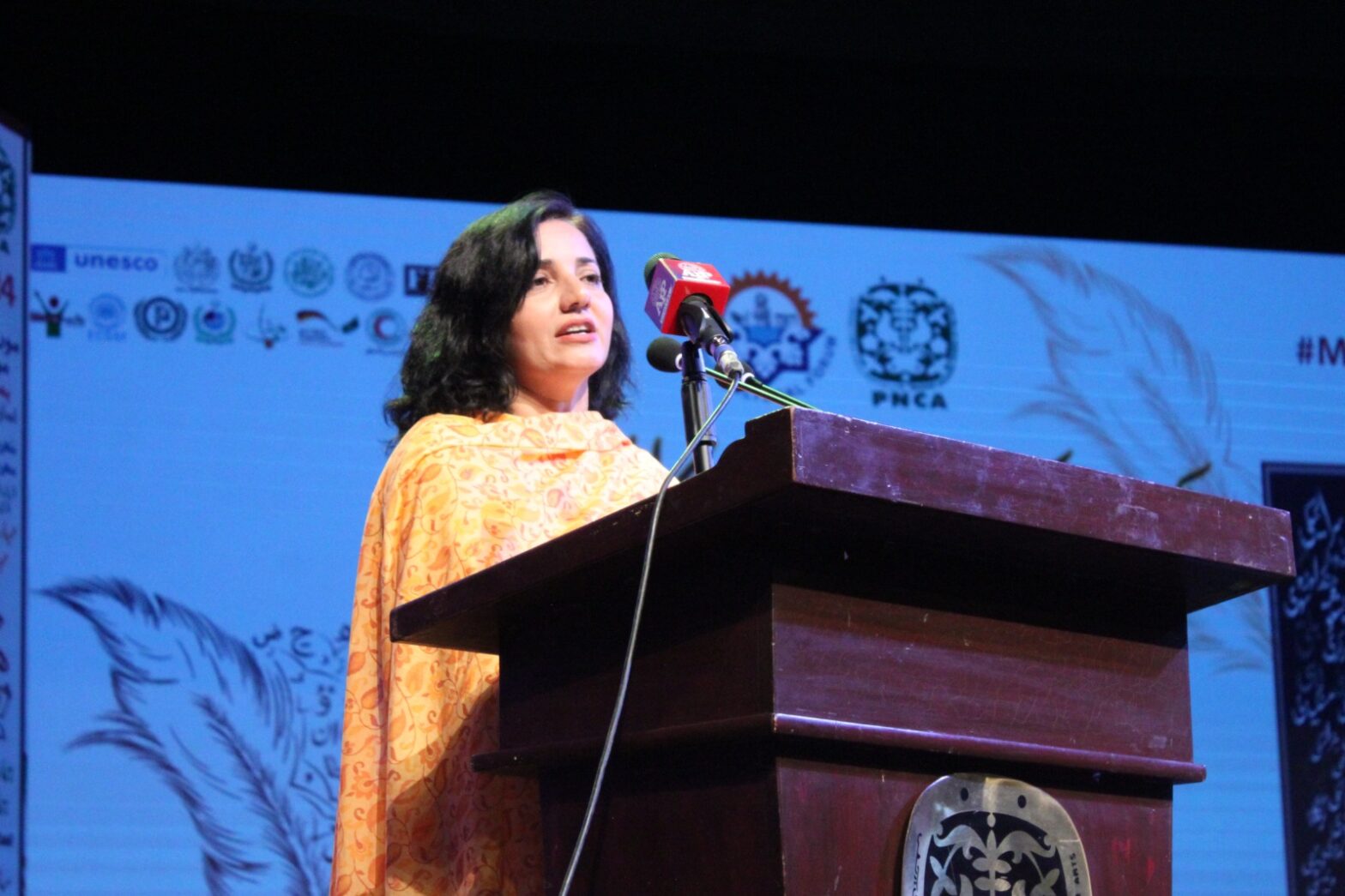 Pakistan mother languages literature festival unveils cultural tapestry