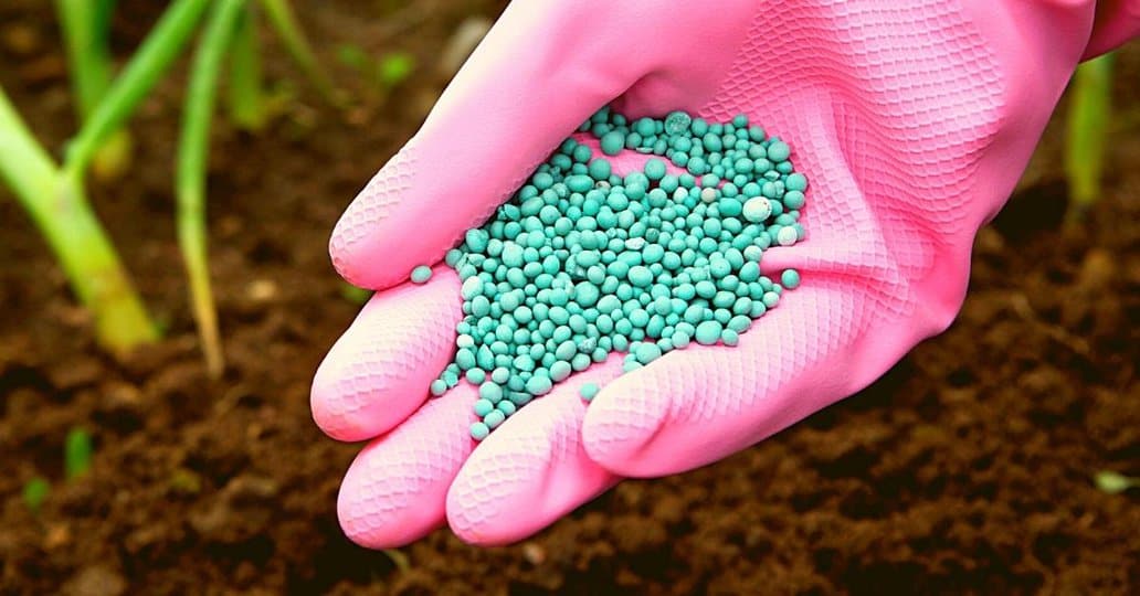 fertilizer