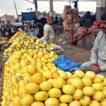 Vendors displaying and selling Melon to attract customers at Fruit and Vegetable Market.