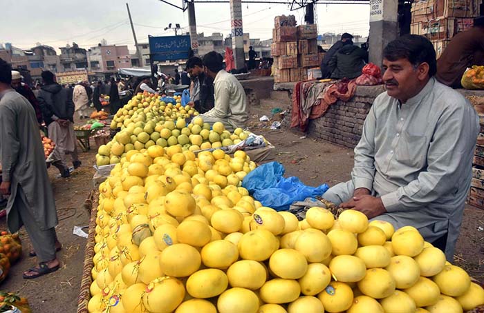 Vendors displaying and selling Melon to attract customers at Fruit and Vegetable Market.