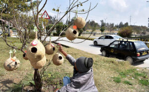 A view of thick clouds hovering over the sky at Federal Capital