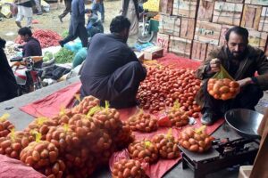 Vendors displaying and selling Melon to attract customers at Fruit and Vegetable Market.