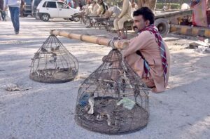 A man carrying a bird cage waits for customers on the roadside during Ramadan at Murree road