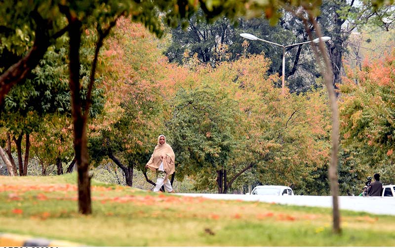 A woman passing through colourful trees near Sitara Market in the Federal Capital.