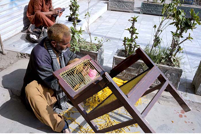 An aged man is netting a chair to earn for livelihood near Azadi chowk.
