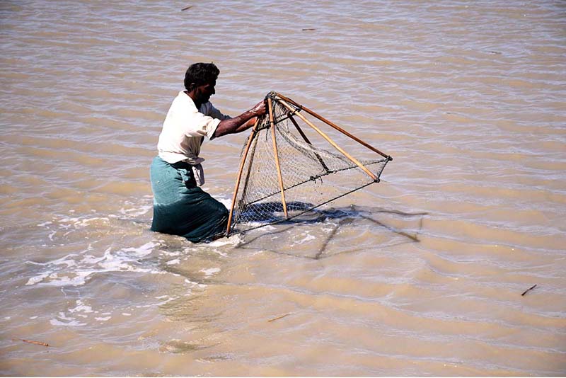 A fisherman busy catching fishes with the help of net in a water pond
