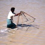 A fisherman busy catching fishes with the help of net in a water pond