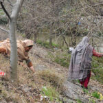 Women busy cutting dry grass at roadside
