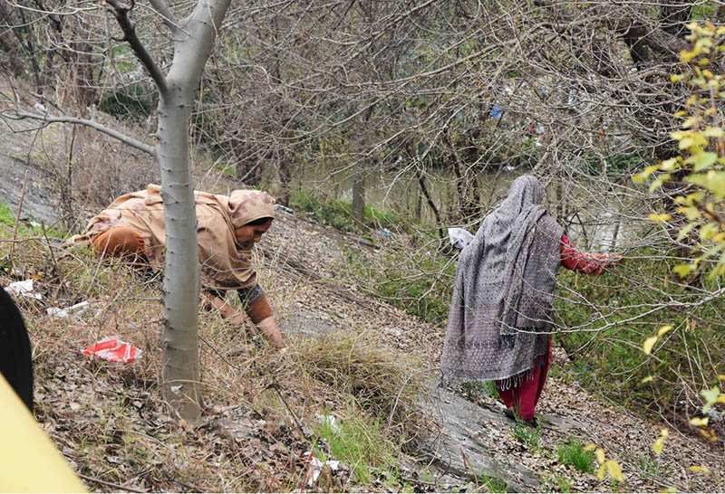 Women busy cutting dry grass at roadside