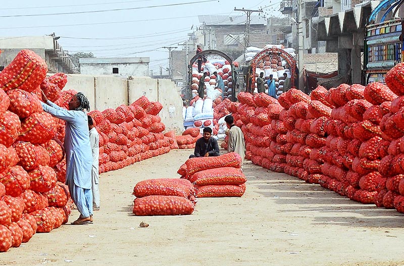 Labourers are busy unloading onion sacks from delivery trucks at the vegetable market.