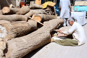 A worker busy in cutting the wood at his workplace