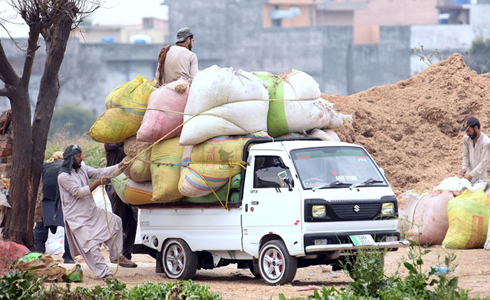 Workers tying up bags of husk onto a Suzuki Van at Pirwadhai
