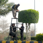 Laborers are busy trimming plants for beautification at DHA Multan