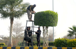 Laborers are busy trimming plants for beautification at DHA Multan